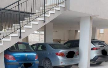 المستوطنون يعتدون على ممتلكات الفلسطينيين في منطقة جسر الزرقاء بالداخل المحتل