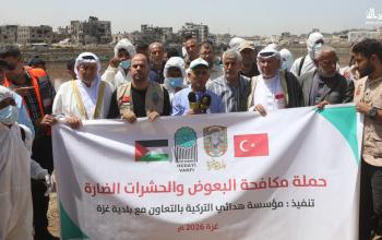 البلدية تناشد بتوفير المبيدات والسموم لمكافحة القوارض والحشرات