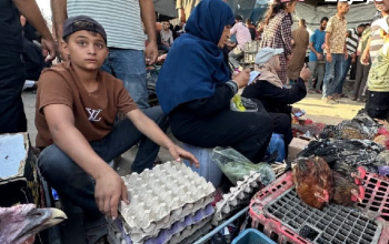 مربو الدواجن في غزة يستعيدون مهنتهم رغم الحرب