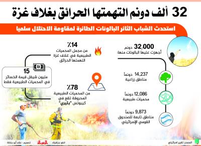 32 ألف دونم التهمتها الحرائق بغلاف غزة