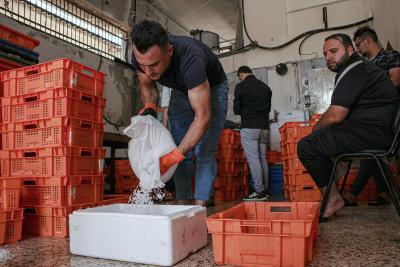 100922_GAZA_AA_00 (14).jpg
