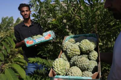 140922_GAZA_ASH_00 (36).jpg