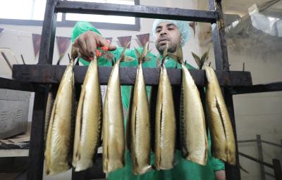 110423_GAZA_BS_00 (27).jpg