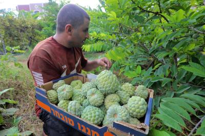240923_GAZA_OSH_00(22).jpg