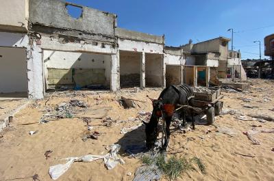 260923_GAZA_OD_2_00(15).jpg