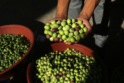011023_Gaza_ZU_00 (3).jpg