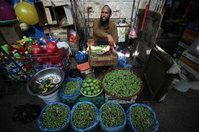 011023_Gaza_ZU_00 (2).jpg