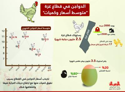 الدواجن في قطاع غزة "متوسط أسعار وكميات"