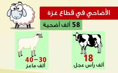 الاضاحي في قطاع غزة