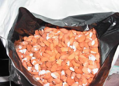 حبوب التريمال