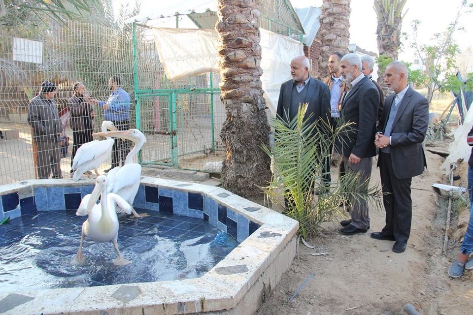 جانب من الجولة التفقدية