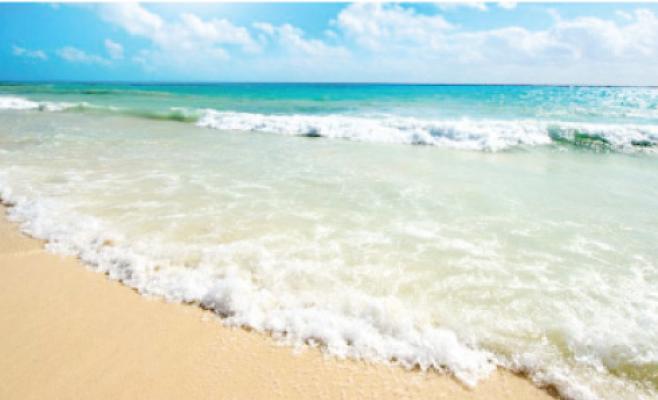 خيمة على شاطئ البحر شاهدة على خذلان الأسير المحرر "اللحام"