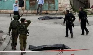 320x190_uploads,2018,01,16,1eee2f10b9