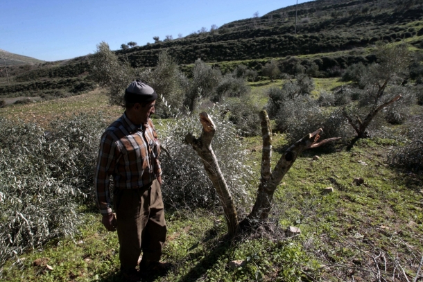 صورة من "الأرشيف"