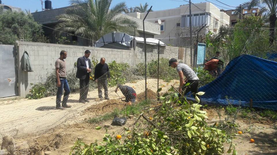 بلدية الزوايدة