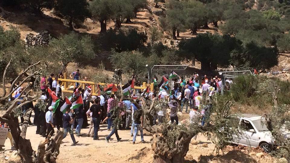 الصورة من قلب الحدث 