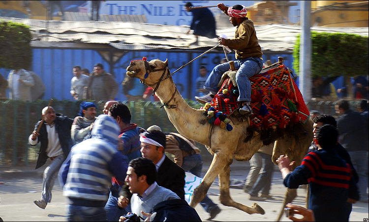 تبرئة المتهمين في "موقعة الجمل" بمصر