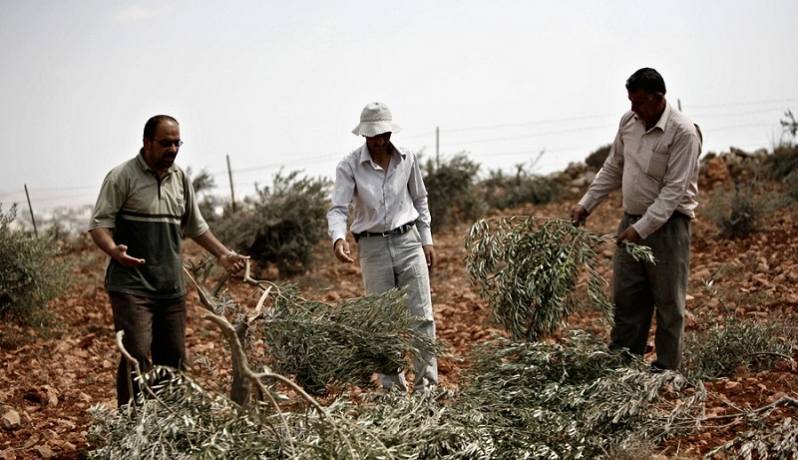 صورة (أرشيفية) 