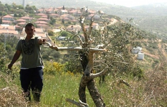 صورة ارشيفية