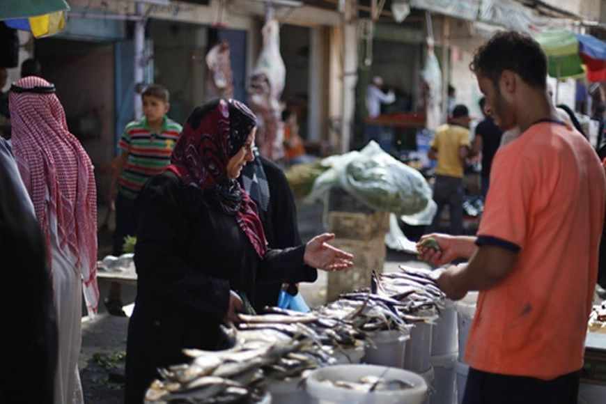 سمك رنجا في غزة