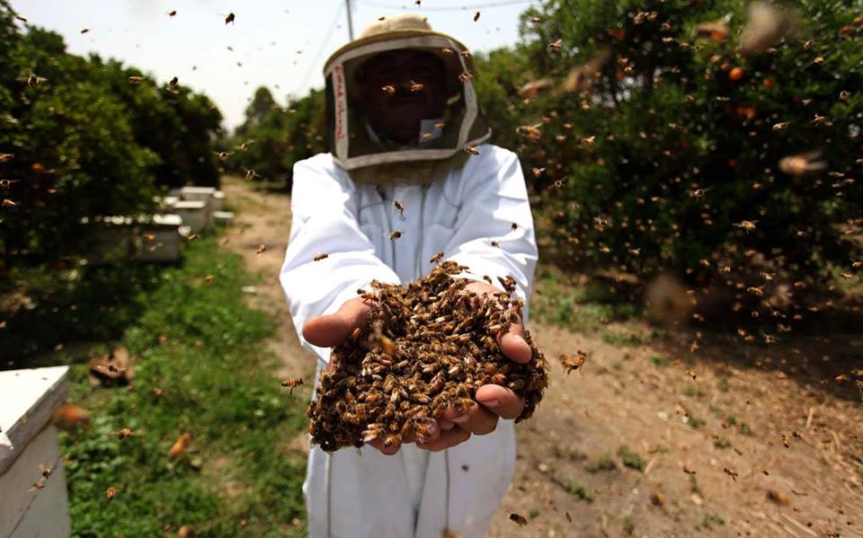 صورة ارشيفية