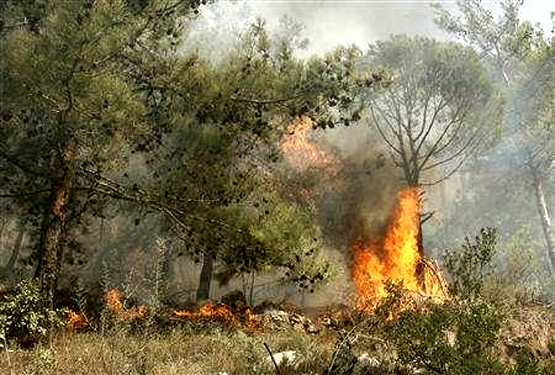 صورة من الارشيف