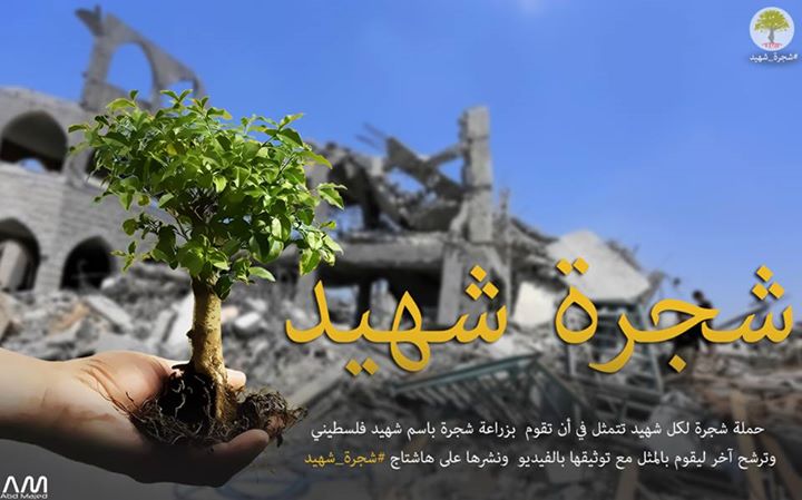 شجرة شهيد