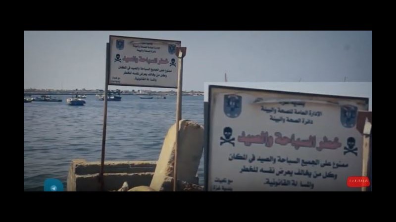 بالوثائق: الصيد الممنوع في حوض الميناء.. من يتقاسم "الغلّة"!