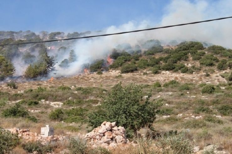 احتراق عشرات الدونمات الرعوية في الأغوار بسبب تدريبات الاحتلال