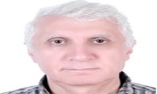 محمود عبد الله عاكف