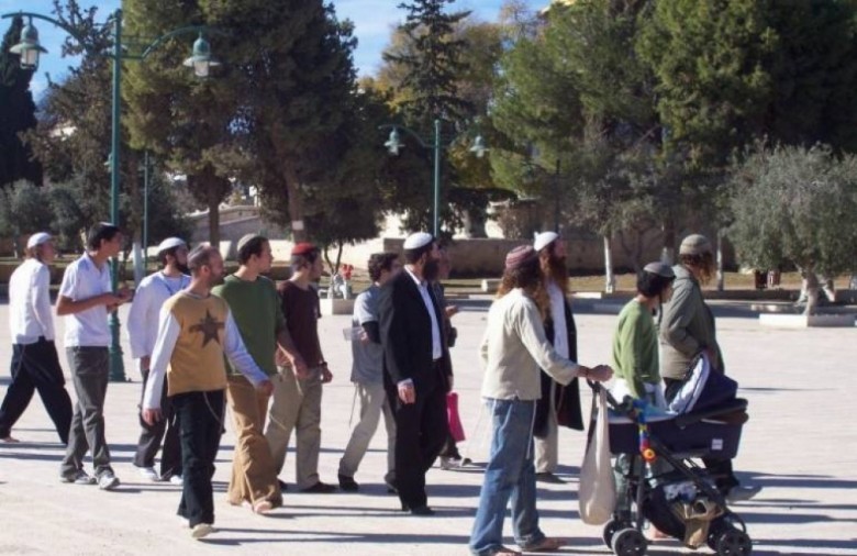 دعوات لاقتحامات واسعة للمسجد الأقصى بعد غد الاثنين