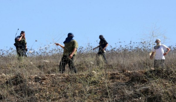صورة "أرشيفية"