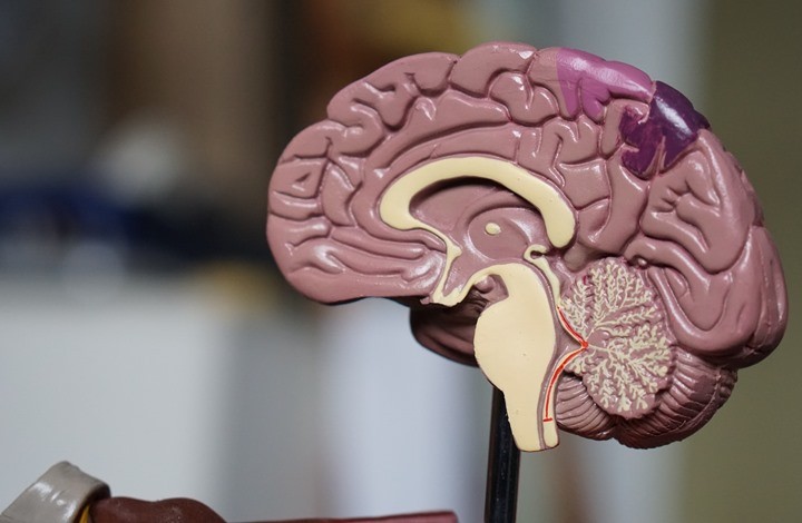 14 عادة يومية ستساعدك على اكتساب ذاكرة قوية.. تعرف إليها