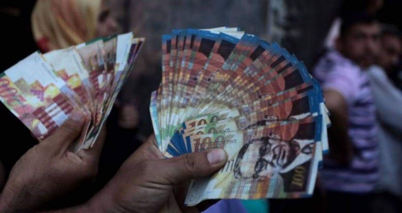 ارشيفية