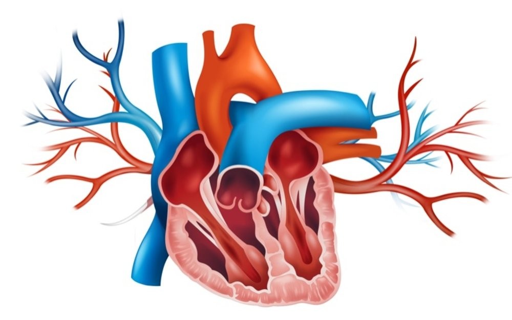 صورة "أرشيفية"