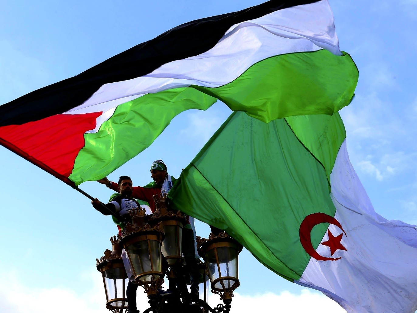 ارشيفية