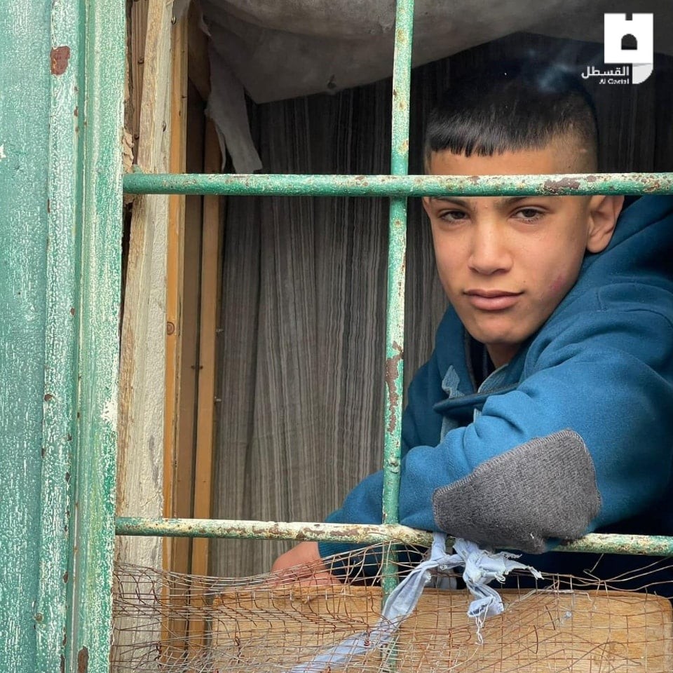 الطفل قنيبي