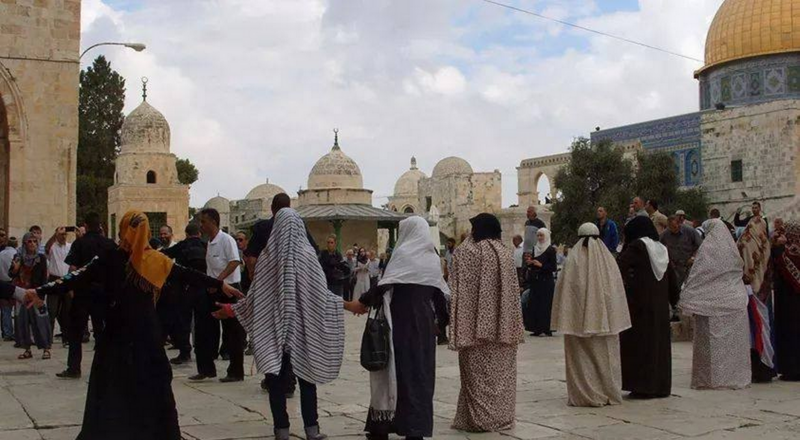 المرابطات في الأقصى