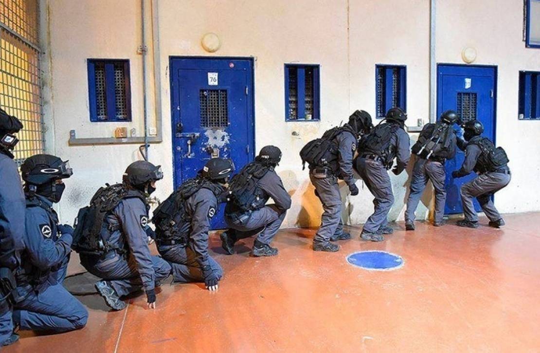 ارشيفية