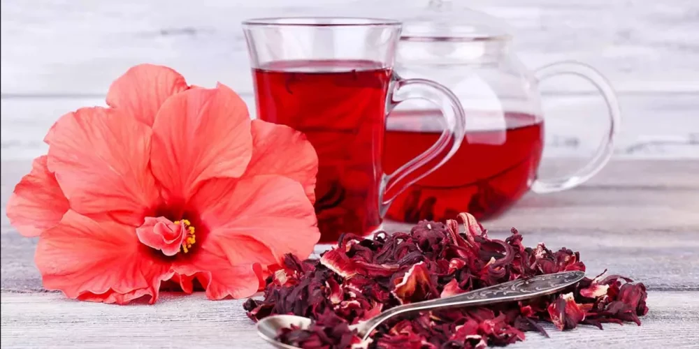 رمضان 2023.. تعرف على فوائد الكركديه وطريقة تحضيره