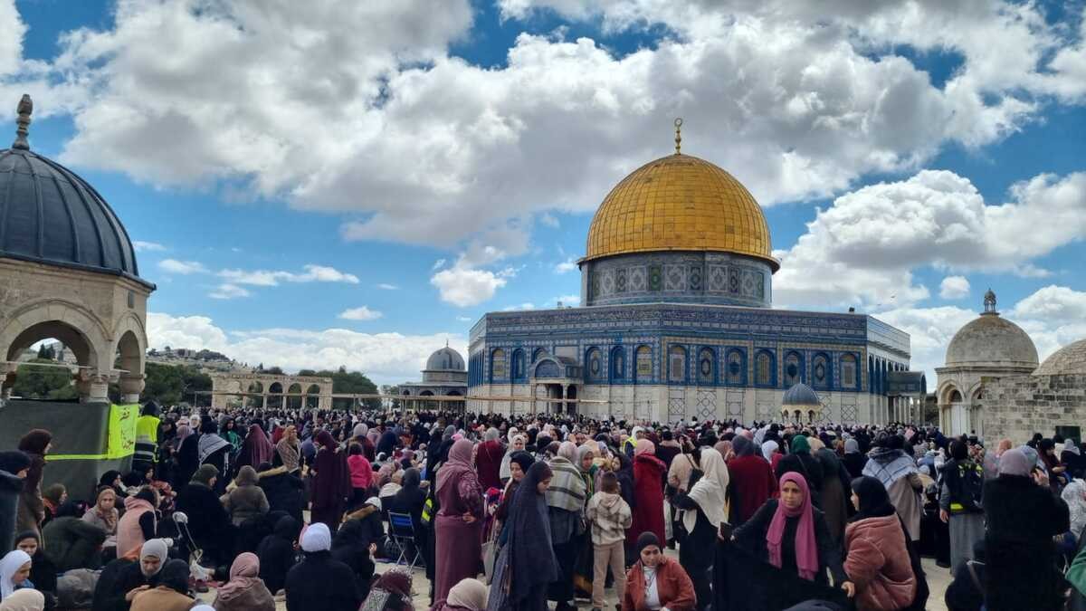 الاقصى اليوم