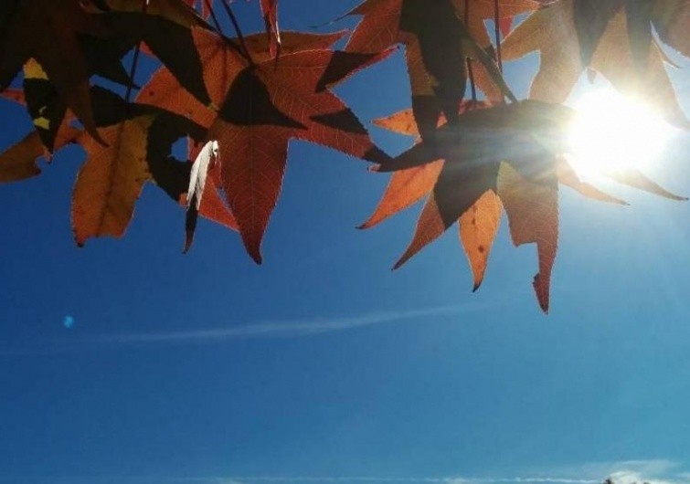 حالة الطقس في فلسطين اليوم الأربعاء 4 اكتوبر 2023