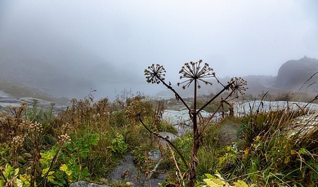 أجواء خريفية غائمة.. تعرف على حالة الطقس في فلسطين اليوم الاثنين 2/10/2023