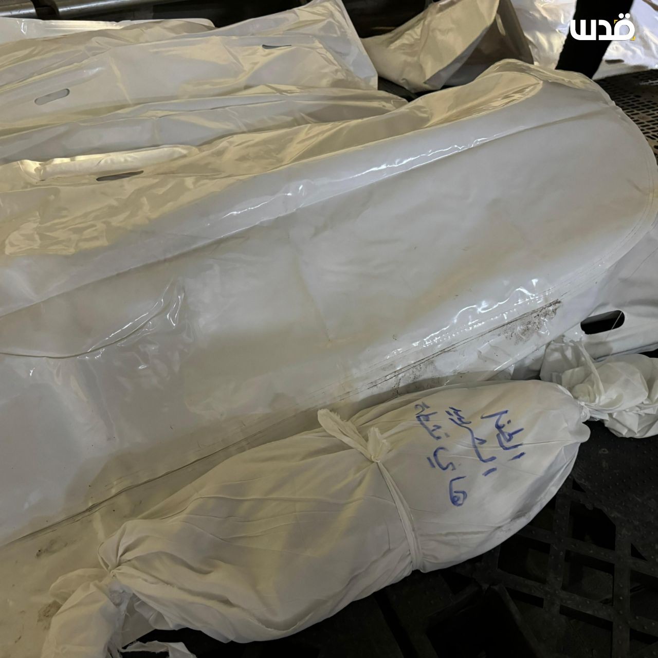 شهداء عائلة قشطة