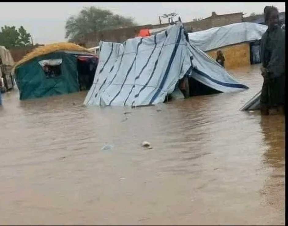 منظمة الصحة العالمية: الشتاء القاسي في غزة يزيد من معاناة النازحين