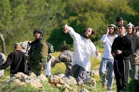 إصابات واعتداءات إرهابية من المستوطنين على أهالي مسافر يطا جنوب الخليل