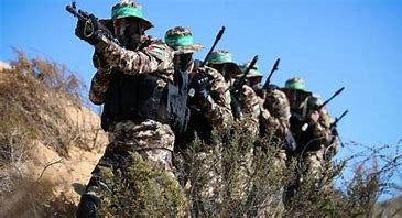 تحقيق يكشف فشل جيش الاحتلال في صد هجوم القسام على (زيكيم)