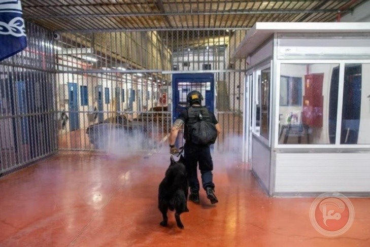 استشهاد الأسير عمرو عودة تحت التعذيب في معسكر (سديه تيمان الإسرائيلي)