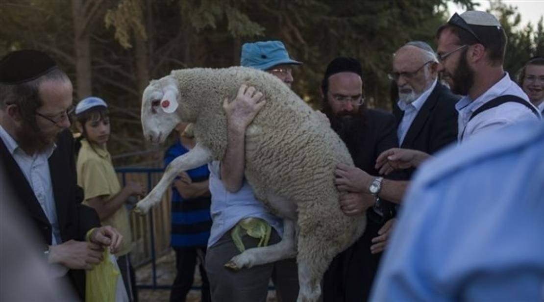 (قرابين في الأقصى) هل بدأ التنفيذ العلني لطقوس الهيكل؟