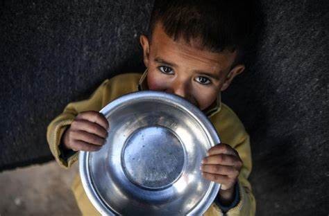 المدير التنفيذي للجنة الإنقاذ الدولية: الوضع الإنساني في غزة كارثي